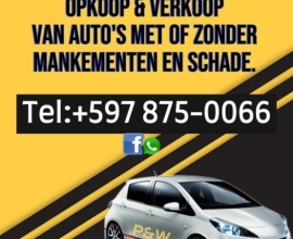 opkoop van alle merken auto’s